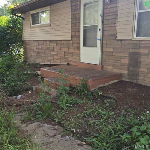 10125 Crown Point Drive, St Louis, MO 63136