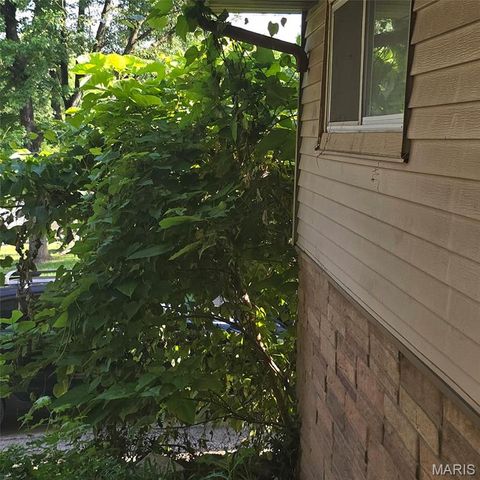 10125 Crown Point Drive, St Louis, MO 63136