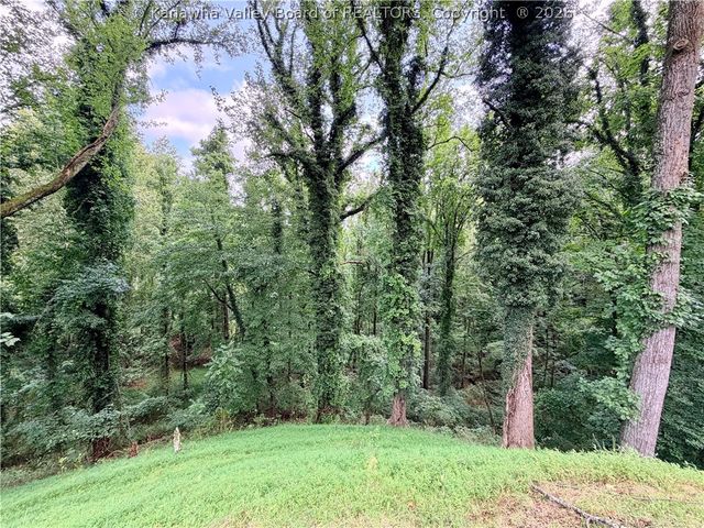 1235 Johnson Road, Charleston, WV 25314