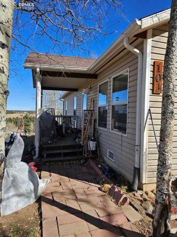 103 Will Stutley Drive, Divide, CO 80814
