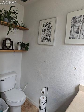 103 Will Stutley Drive, Divide, CO 80814