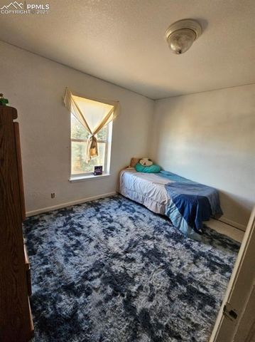 103 Will Stutley Drive, Divide, CO 80814