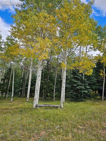 103 Will Stutley Drive, Divide, CO 80814