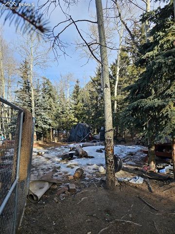 103 Will Stutley Drive, Divide, CO 80814