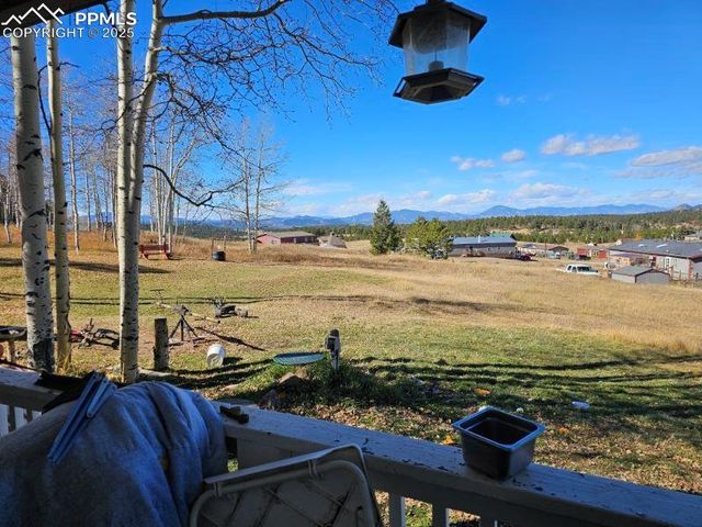 103 Will Stutley Drive, Divide, CO 80814