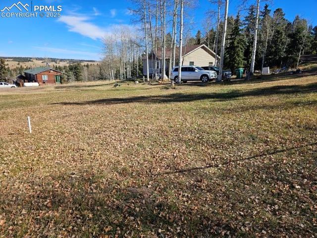 103 Will Stutley Drive, Divide, CO 80814