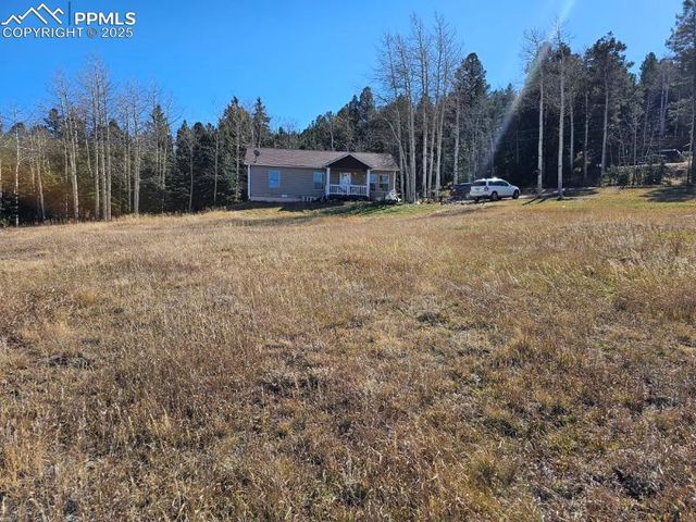 103 Will Stutley Drive, Divide, CO 80814