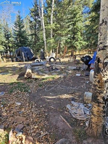 103 Will Stutley Drive, Divide, CO 80814