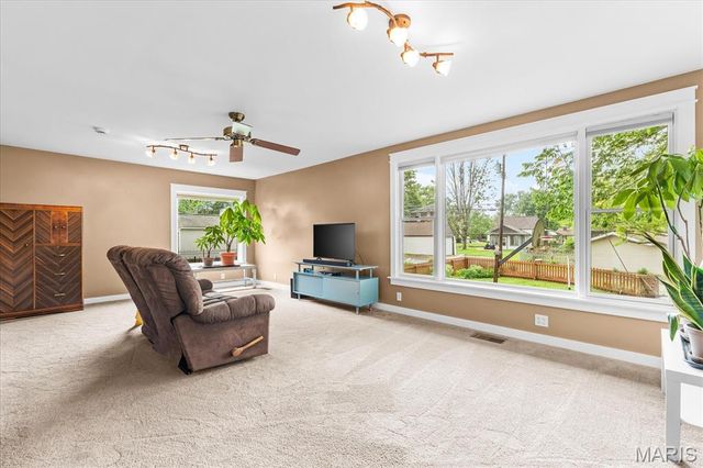 301 S Missouri Avenue, Belleville, IL 62220
