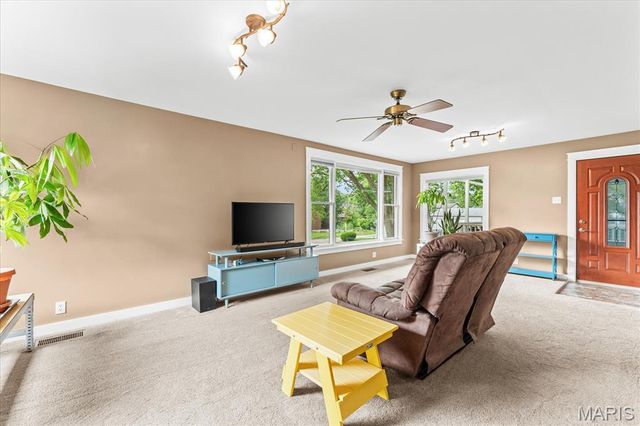 301 S Missouri Avenue, Belleville, IL 62220