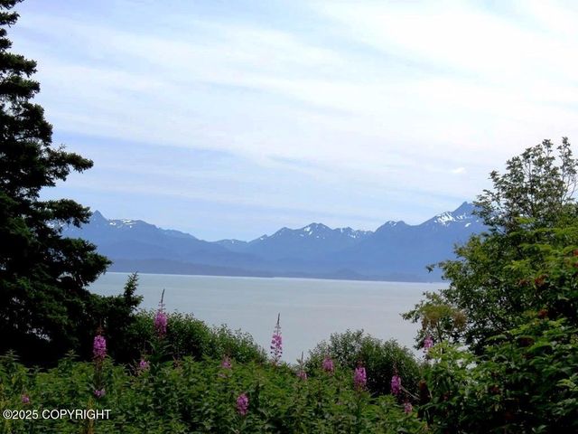 1552 Saltwater Drive, Homer, AK 99603