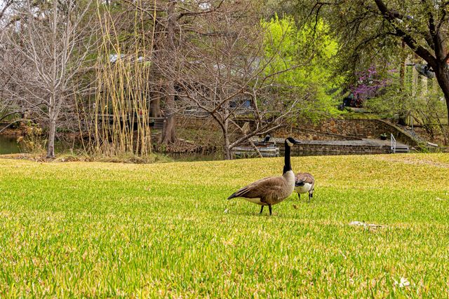 11116 Westmere Circle, Dallas, TX 75230