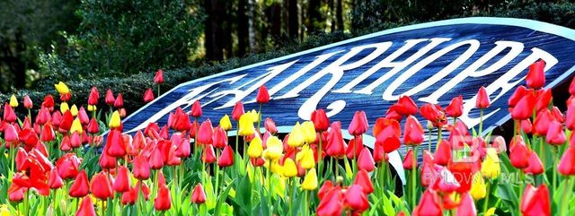 17487 Pandion Ridge, Fairhope, AL 36532