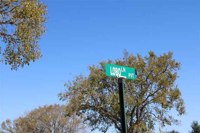 Parcel 4 Lobo Lane, Columbus, TX 78934