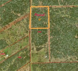 Parcel 4 Lobo Lane, Columbus, TX 78934