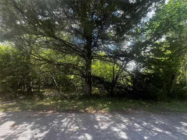 51 Timber Cove Lane, Coldspring, TX 77331