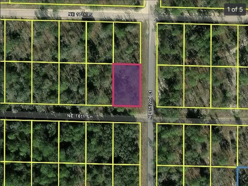 0 NE 16TH PLACE, Williston, FL 32696