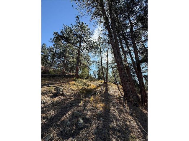 7438 S Turkey Creek Rd, Morrison, CO 80465