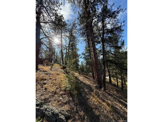 7438 S Turkey Creek Rd, Morrison, CO 80465