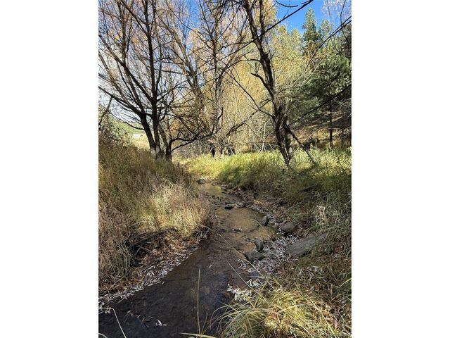 7438 S Turkey Creek Rd, Morrison, CO 80465