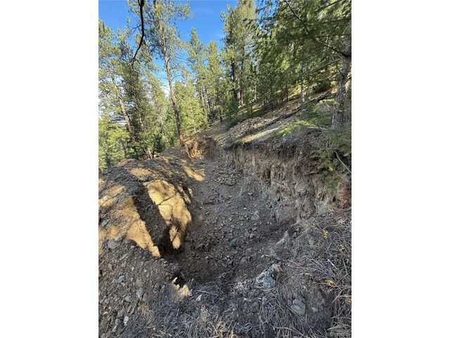 7438 S Turkey Creek Rd, Morrison, CO 80465