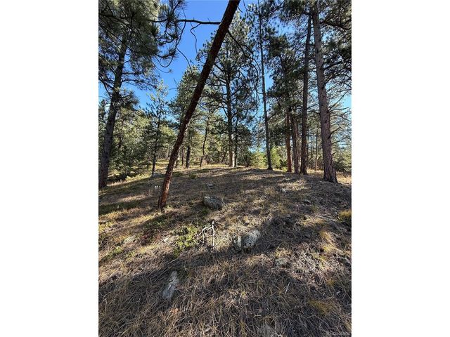 7438 S Turkey Creek Rd, Morrison, CO 80465