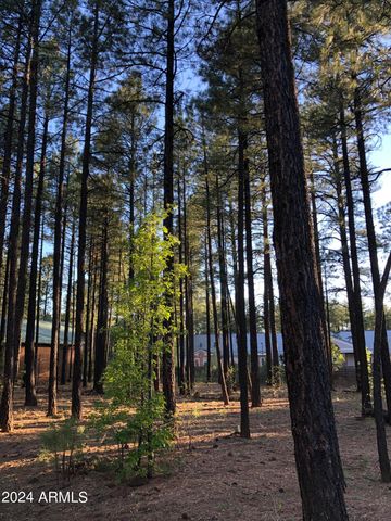 2522 TIMBER RIDGE Lane 2, Pinetop, AZ 85935
