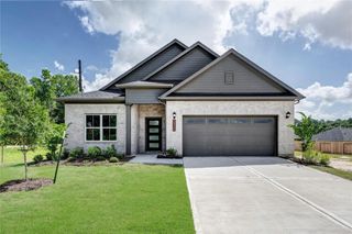 15130 Bank Swallow Place, Magnolia, TX 77354