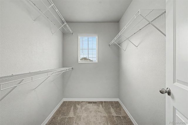 4591 Gneiss Loop, Colorado Springs, CO 80938