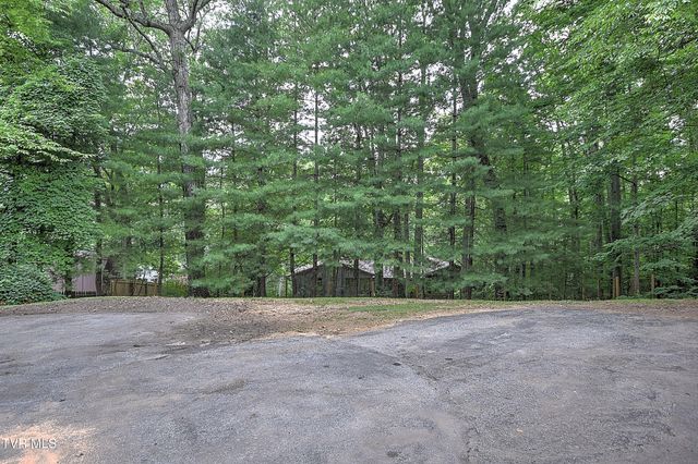 229 Kanan Drive, Kingsport, TN 37664
