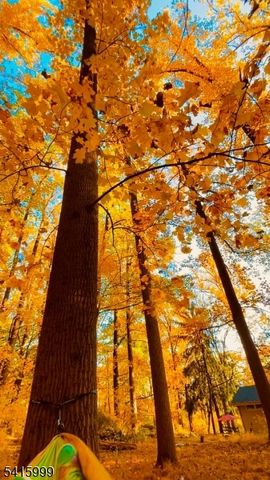 95 Dreahook Rd, Readington Twp., NJ 08833