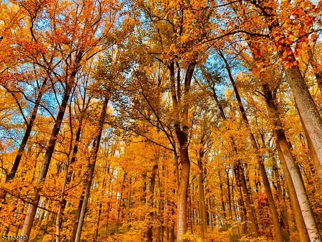 95 Dreahook Rd, Readington Twp., NJ 08833