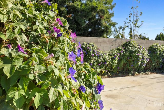 2504 Bex Hill Court, Bakersfield, CA 93309