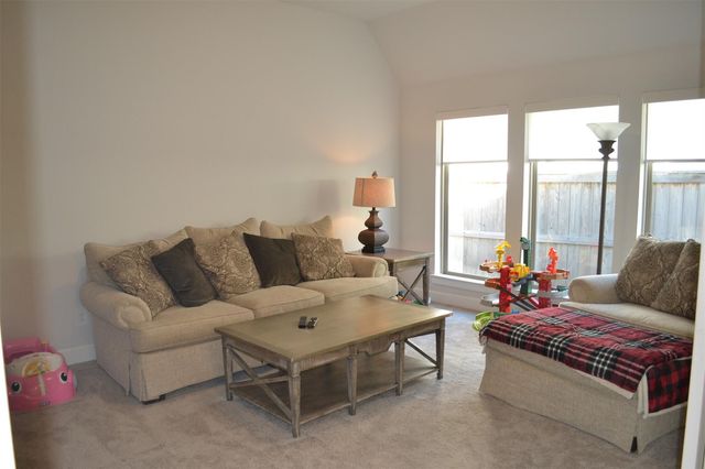 15460 Ringbill Way, Magnolia, TX 77354