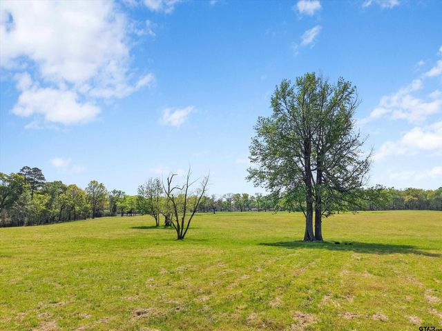 520 SE CR 4385, Scroggins, TX 75480