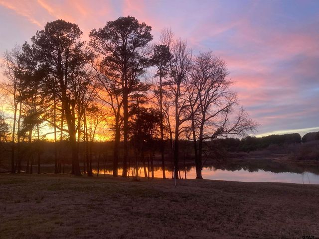 520 SE CR 4385, Scroggins, TX 75480
