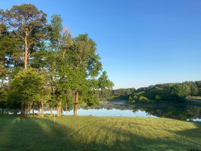 520 SE CR 4385, Scroggins, TX 75480
