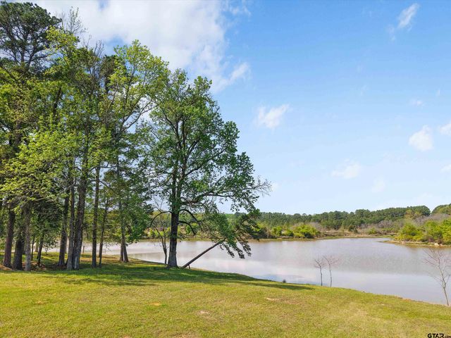 520 SE CR 4385, Scroggins, TX 75480