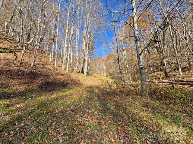 890 Panther Branch Road, Hot Springs, NC 28743