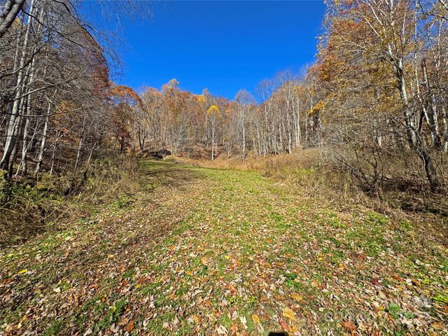 890 Panther Branch Road, Hot Springs, NC 28743