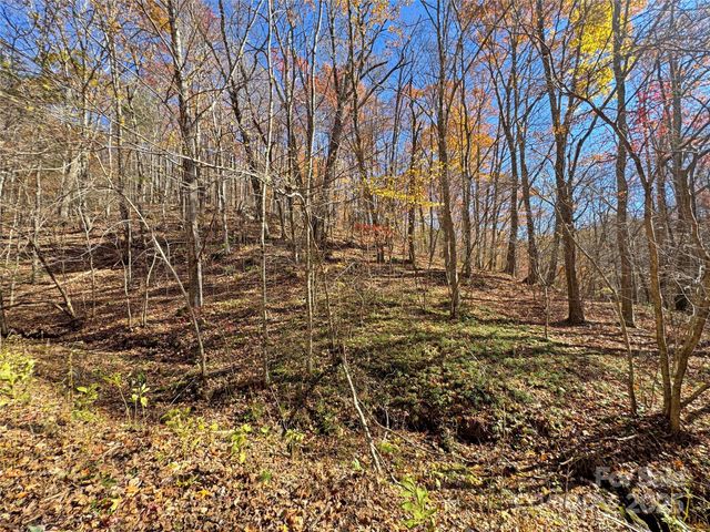 890 Panther Branch Road, Hot Springs, NC 28743