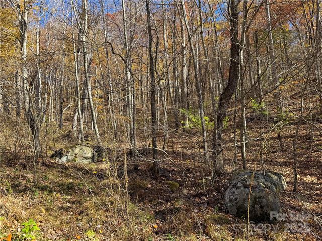 890 Panther Branch Road, Hot Springs, NC 28743