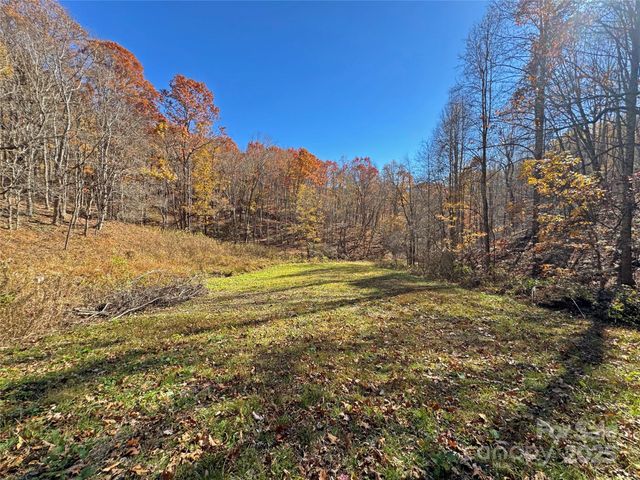 890 Panther Branch Road, Hot Springs, NC 28743