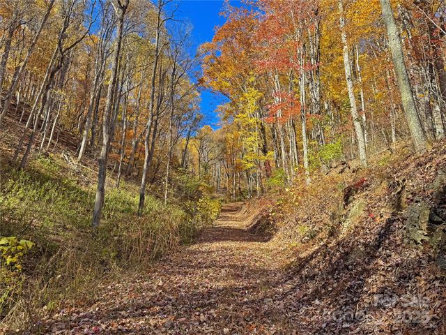 890 Panther Branch Road, Hot Springs, NC 28743