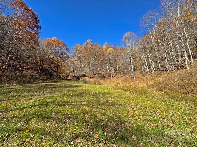 890 Panther Branch Road, Hot Springs, NC 28743