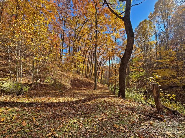 890 Panther Branch Road, Hot Springs, NC 28743