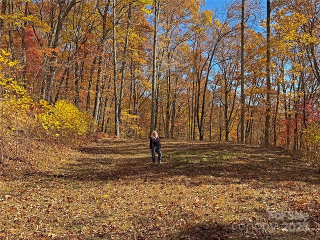 890 Panther Branch Road, Hot Springs, NC 28743