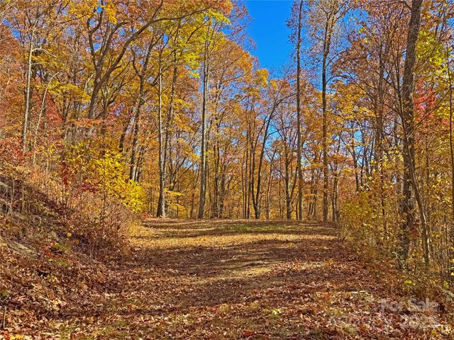 890 Panther Branch Road, Hot Springs, NC 28743