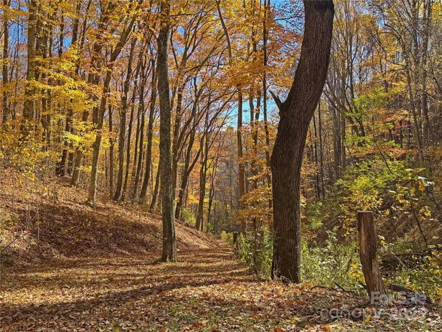 890 Panther Branch Road, Hot Springs, NC 28743