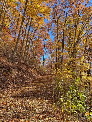 890 Panther Branch Road, Hot Springs, NC 28743